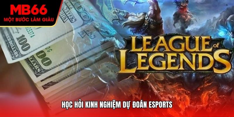 Học hỏi kinh nghiệm dự đoán Esports