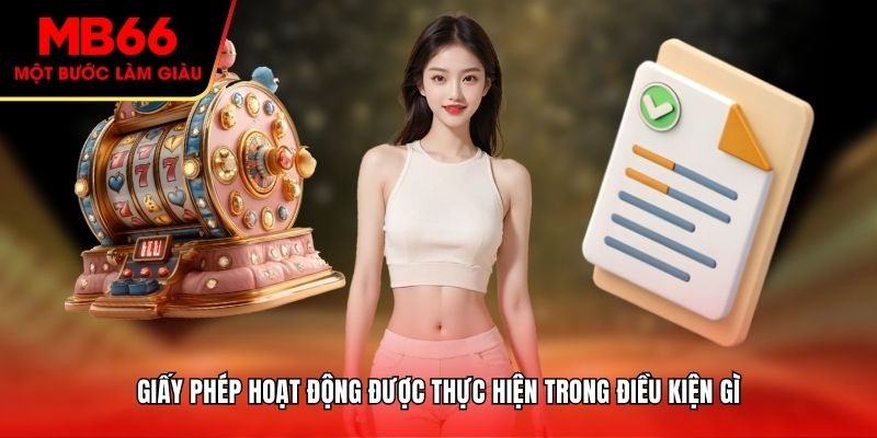 Giấy phép được thực hiện trong điều kiện gì