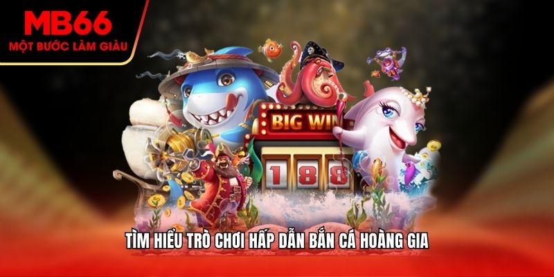 Tìm hiểu trò chơi hấp dẫn bắn cá hoàng gia